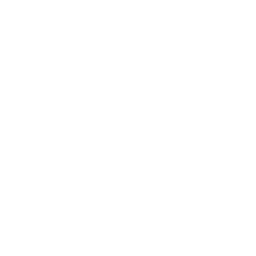 CrackedCat Logo